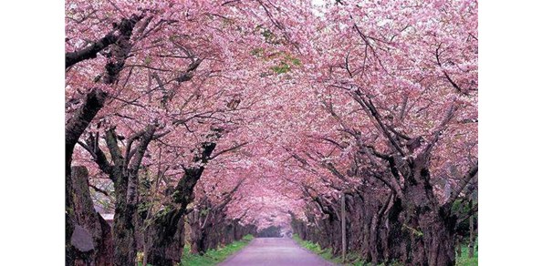 76天，我們一起走過(guò)！